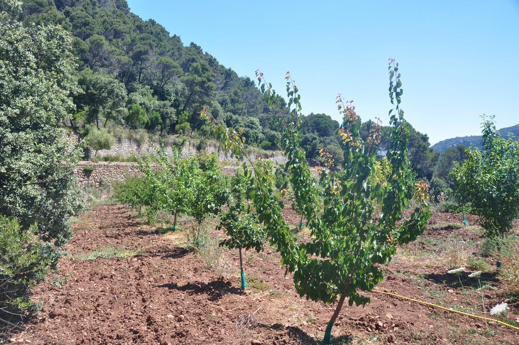 Sa Campaneta *