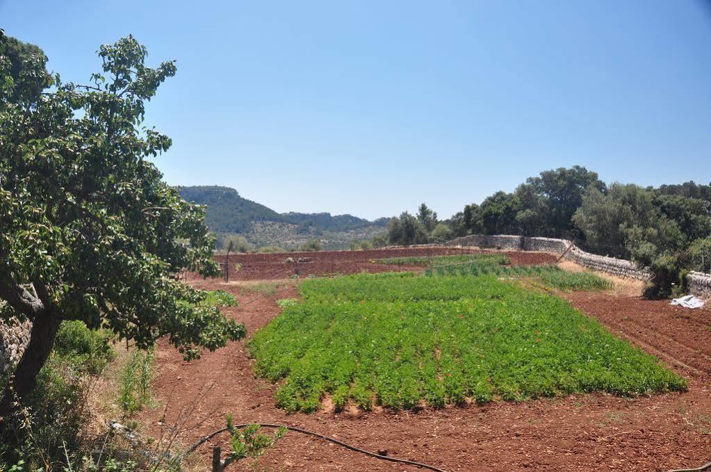 Sa Campaneta Puigpunyent (Mallorca)